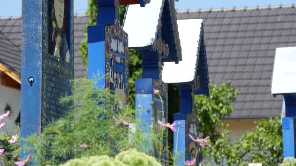 Colored Tombstones with Spiritual and Funny Messages in a Village Cemetery — Stok video