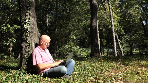 Image with Relaxed Person in Park Using Laptop Internet Connection