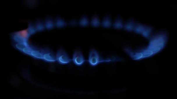 Cuisinière brûleur Image dans l'obscurité avec des flammes bleues augmentant de petit à grand — Video