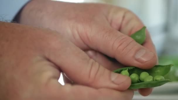 Atividade homem na cozinha Selecione e limpe ervilhas verdes frescas para cozinhar — Vídeo de Stock