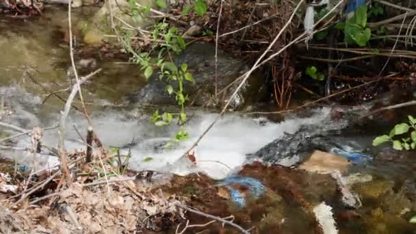 Zanieczyszczona górska rzeka z plastikowymi śmieciami i toksycznymi śmieciami — Wideo stockowe