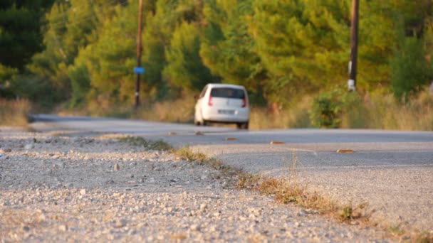 Bild med låg biltrafik på en bergsväg i en varm sommardag — Stockvideo