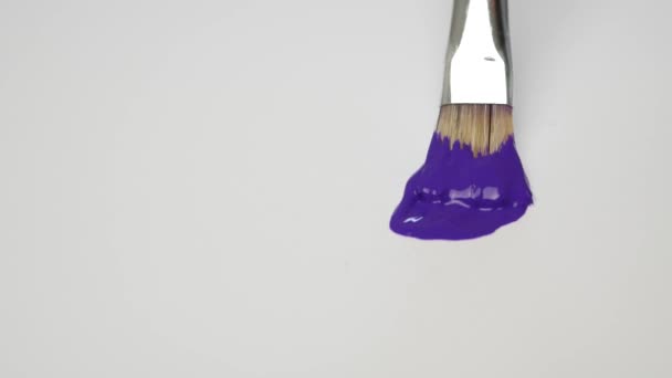 Painter Use Tempera Techniques and Make a Paint with Violet Color — Stock Video