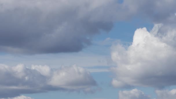 Ciel bleu et petits nuages mousseux gris et blancs se déplaçant en temps réel — Video