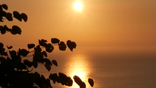 Wunderschöner Sonnenuntergang mit orangefarbener Reflexion in Meereswellen und Blättern, die sich im Wind bewegen — Stockvideo