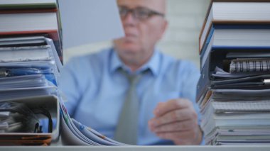 Mali Belgeler ve Muhasebe Evrakları ile Çalışan Yönetici ile Görüntü