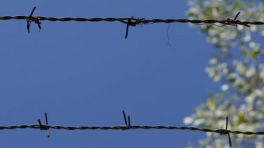 Güvenlik Çemberinde Dikenli Tel ile Korunan Duvarlı Görüntü