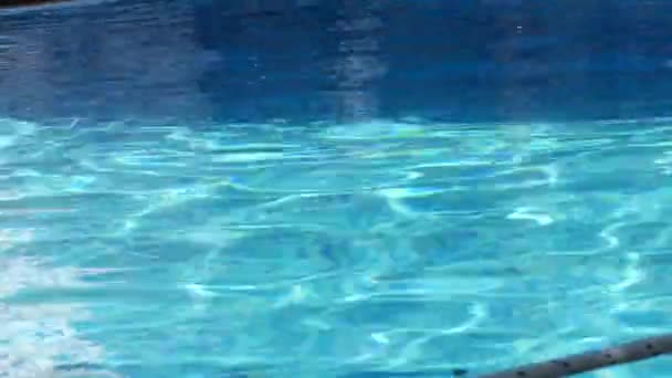 Fundo azul de uma piscina com água limpa e fria — Vídeo de Stock