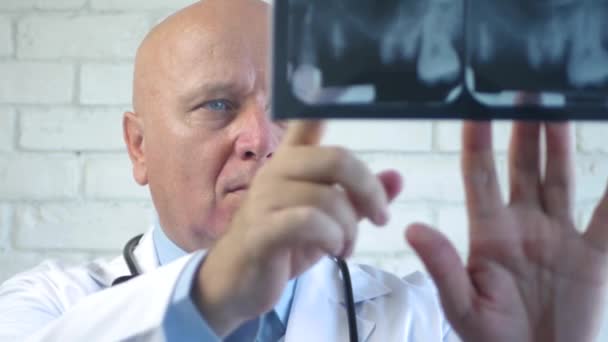 Professioneller Zahnarzt auf der Suche nach einer Röntgenaufnahme — Stockvideo