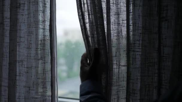 Un hombre en una habitación oscura abriendo la cortina de una ventana en una mañana soleada, un hombre en un hotel mirando la ventana por la mañana — Vídeo de stock