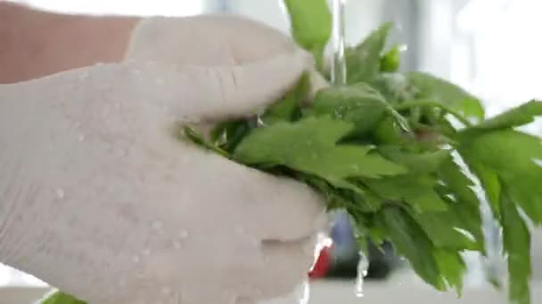 Slow Motion con l'uomo in cucina che indossa guanti sulle mani lavando un mazzo di prezzemolo fresco con acqua pulita — Video Stock