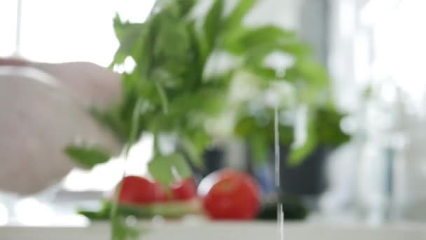 Verschwommenes Bild mit einem Bündel frischem Gemüse in der Küche für einen Salat — Stockvideo