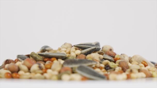 为异国情调的鸟类提供富含维生素的食物，是干枯和营养种子的混合体 — 图库视频影像