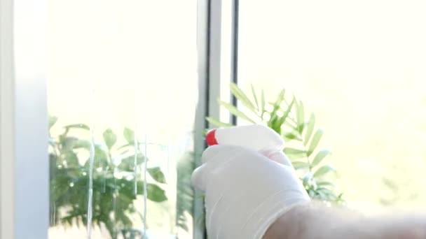 Travail de femme de ménage, Porter des gants de protection, Nettoyage du verre de fenêtre avec un détergent en mousse pulvérisée — Video