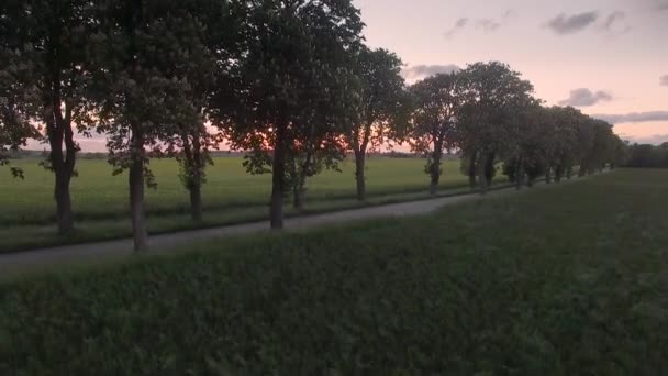 Вид на беспилотник: взлетающий над деревьями и открывающий поля на закате . — стоковое видео