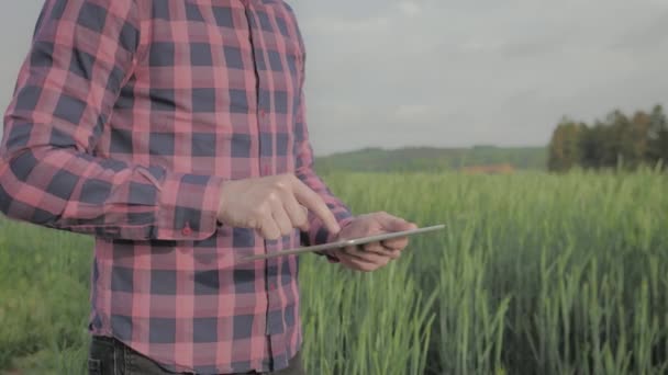 Agricultor masculino moderno com computador tablet em um campo — Vídeo de Stock