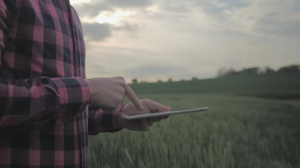 Modern manlig bonde med Tablet PC i ett fält — Stockvideo