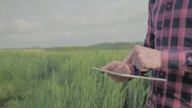 Bir alanda tablet bilgisayar ile modern erkek çiftçi