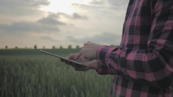 Moderner männlicher Bauer mit Tablet-Computer auf einem Feld — Stockvideo