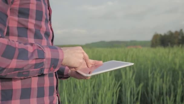 Moderner männlicher Bauer mit Tablet-Computer auf einem Feld — Stockvideo