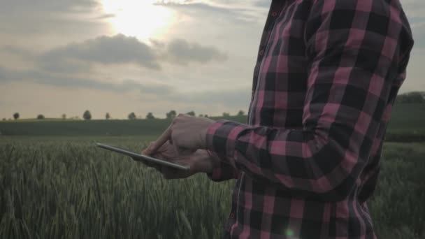 Modern manlig bonde med Tablet PC i ett fält — Stockvideo