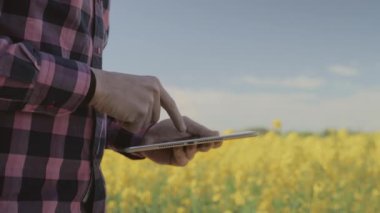 Bir alanda tablet bilgisayar ile modern erkek çiftçi