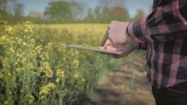Bir alanda tablet bilgisayar ile modern erkek çiftçi