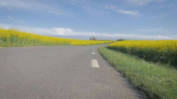 POV : vue rapprochée sur la route . — Video