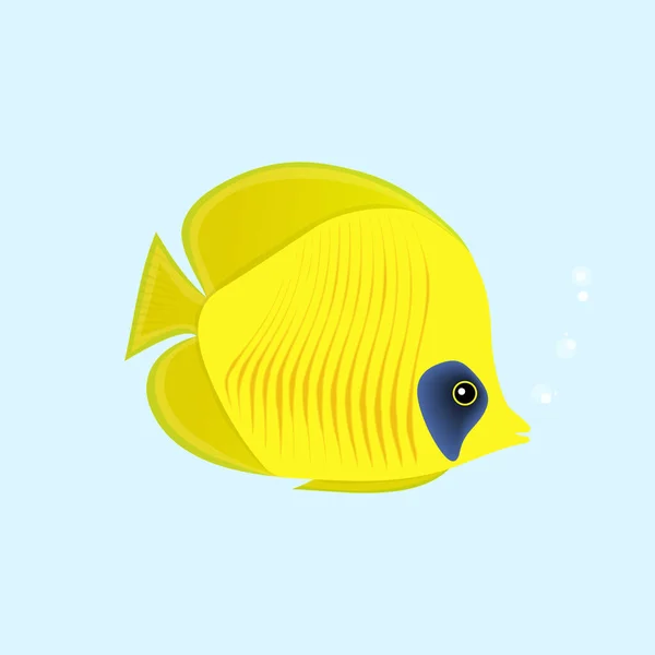 Εικονογράφηση Διανυσματικού Φορέα Του Masked Butteflyfish Chaetodon Semilarvatus — Διανυσματικό Αρχείο