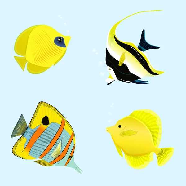 ムーア人のアイドル 蝶の熱帯魚やゼブラソマ 黄色のセーリング魚 ベクターイラスト — ストックベクタ