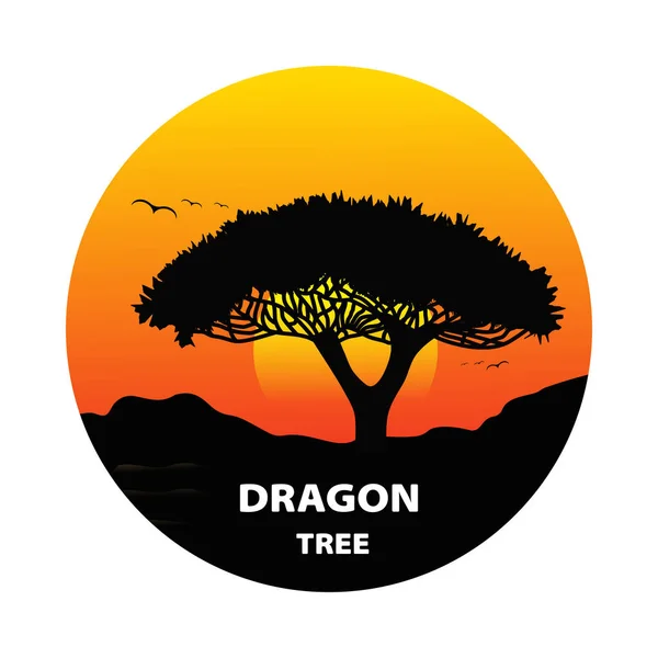 Silueta Árbol Sangre Dragón Atardecer Ilustración Vectorial — Archivo Imágenes Vectoriales