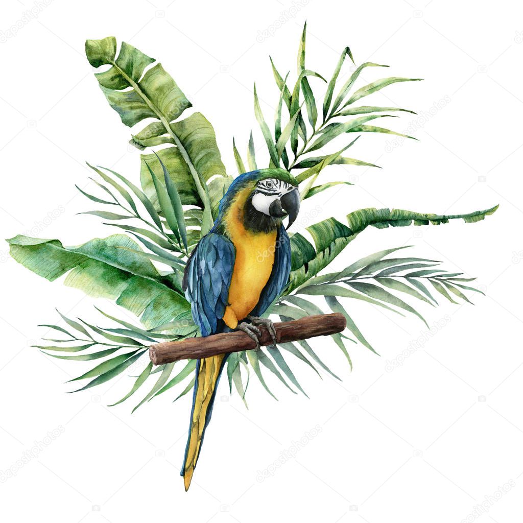 Watercolor parrot with tropical leaves. Hand painted parrot with monstera, banana and palm greenery branch isolated on white background. Nature illustration with bird. For design, print or background.