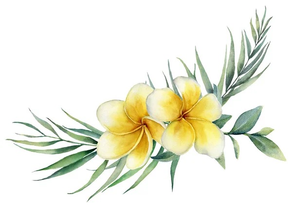 Plumeria 및 팜 분기와 수채화 꽃 열 대 꽃다발. 손으로 그린 frangipani, 흰색 배경에 고립 된 유 칼 리 나무. 디자인, 인쇄에 대 한 그림, 직물 또는 배경. — 스톡 사진