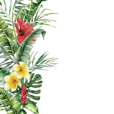 Egzotik yaprak ve çiçek ile suluboya tropikal sınır. El boyalı çerçeve ile palmiye yaprakları, dalları, monstera, frangipani, beyaz arka plan üzerinde izole hibiscus. Botanik illüstrasyon