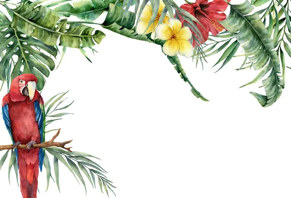 水彩热带横幅与异国情调的花朵, 树叶和鹦鹉。手绘框架与棕榈叶, 树枝, 龟背竹, 花式和芙蓉在白色背景上的设计或打印隔离. — 图库照片