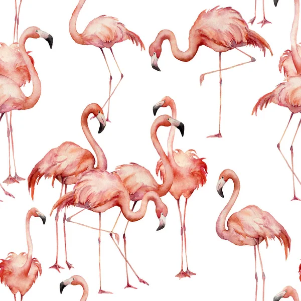 Aquarelle flamant rose motif sans couture. Oiseaux exotiques lumineux peints à la main isolés sur fond blanc. Illustration de vie sauvage pour la conception, l'impression, le tissu ou le fond . — Photo