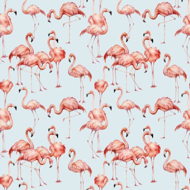Sulu boya pembe flamingo seamless modeli. El parlak egzotik kuşlar üzerinde mavi arka plan izole boyalı. Yaban hayatı Gösterim amacıyla tasarım, baskı, kumaş veya arka plan.