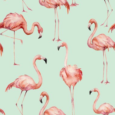 Suluboya flamingo desen. El parlak egzotik kuşlar üzerinde mavi arka plan izole boyalı. Yaban hayatı Gösterim amacıyla tasarım, baskı, kumaş veya arka plan.