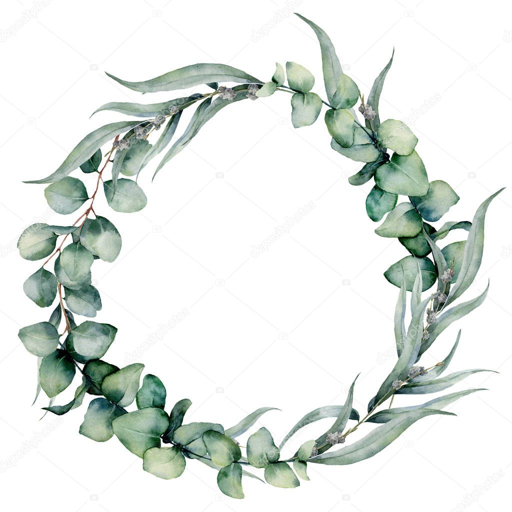 Watercolor floral wreath with different eucalyptus leaves. Hand painted wreath with baby blue, siver dollar eucalyptus isolated on white background. Floral illustration for design, print, background.