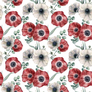 Suluboya kırmızı ve beyaz anemone seamless modeli. El colorul çiçekler, beyaz arka plan üzerinde izole Okaliptüs yaprakları boyalı. Gösterim amacıyla tasarım, kumaş, Yazdır veya arka plan.