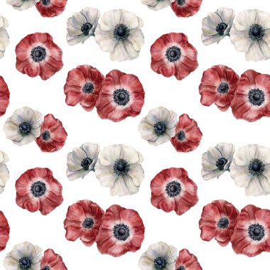 Suluboya anemone seamless modeli. El izole beyaz arka plan üzerinde beyaz ve kırmızı çiçekler boyalı. Gösterim amacıyla tasarım, kumaş, Yazdır veya arka plan.