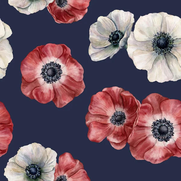 Aquarelle motif anémone sur fond bleu foncé. Fleurs rouges et blanches isolées peintes à la main. Illustration pour le design, le tissu, l'impression ou le fond . — Photo