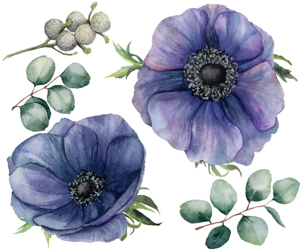 Akvarel, modré sasanky a brunia bobule sada. Ručně malované izolované fialové květy s listy eukalyptu na bílém pozadí. Ilustrace pro design, tkaniny, tisk nebo pozadí. — Stock fotografie