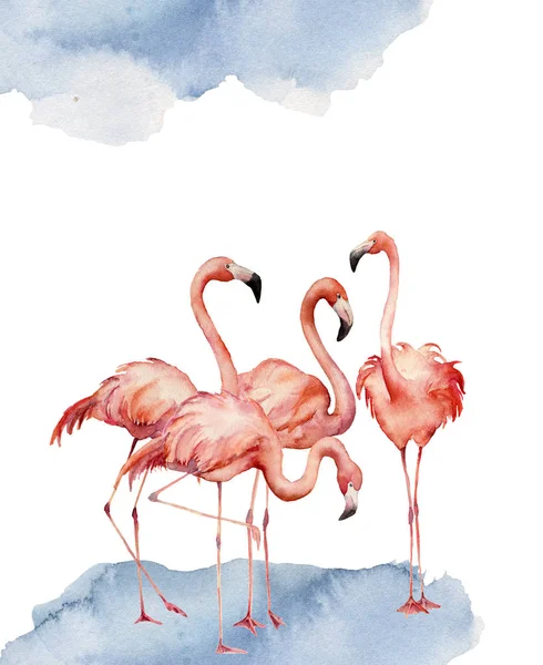 Dans ile suluboya kartı flamingo. El ile egzotik kuş beyaz arka plan üzerinde izole yazdırma boyalı. Tropikal Gösterim amacıyla tasarım.