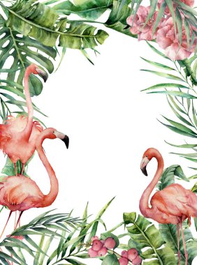 Sulu boya egzotik büyük kartla flamingo. Muz ile çiçek illüstrasyon el boyalı ve Hindistan cevizi hurma yaprakları ve dalları, flamingo, berry, beyaz arka plan üzerinde izole çiçekler. Tasarım veya baskı için.