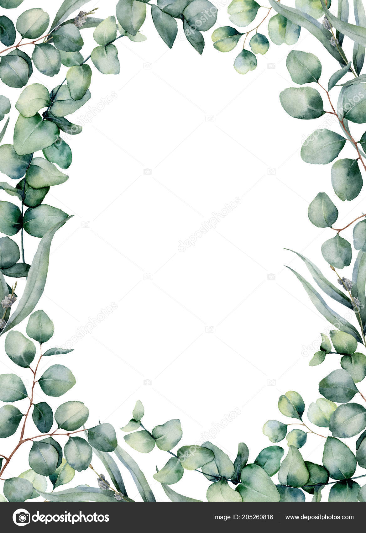 Watercolor frame with eucalyptus leaves. Hand painted baby, seeded and
