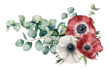 Suluboya asimetrik buket anemone ve okaliptüs. Kırmızı ve beyaz çiçekler, Okaliptüs yaprakları ve beyaz arka plan üzerinde izole şube el boyalı. Gösterim amacıyla tasarım, yazdırma veya arka plan.