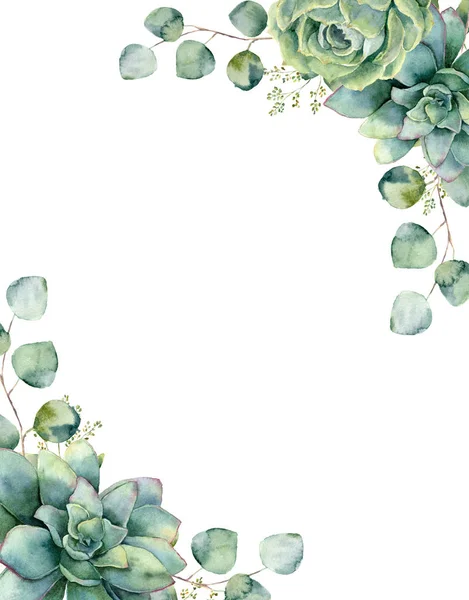 Tarjeta acuarela con ramo exótico. Rama y hojas de eucalipto pintadas a mano, suculentas verdes aisladas sobre fondo blanco. Ilustración botánica floral para diseño, impresión o fondo . — Foto de Stock