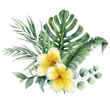 Plumeria ve gümüş Doları okaliptüs suluboya çiçek tropikal buket. El boyalı monstera, palmiye dalı, beyaz arka plan üzerinde izole frangipani. Gösterim amacıyla tasarım, baskı, arka plan.