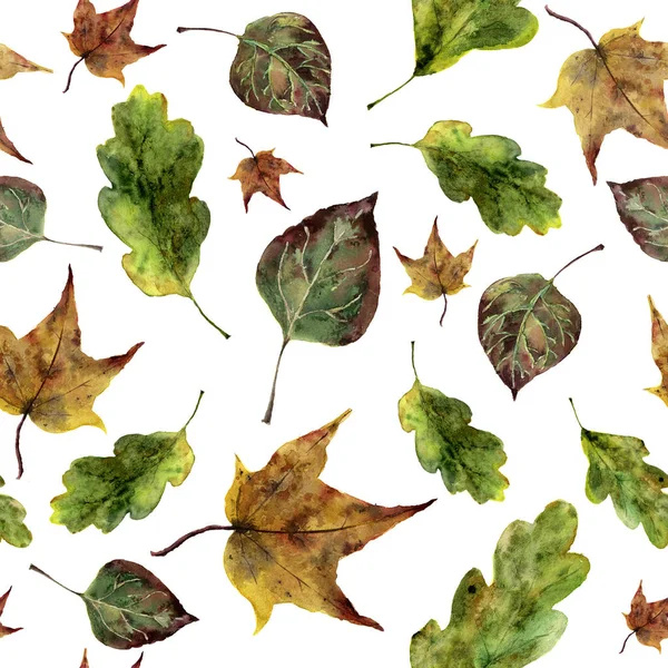Акварель осінь листя безшовний візерунок. Ручний пофарбований дуб, клен, осіннє листя осики прикрашають ізольовано на білому тлі. Ботанічна ілюстрація для дизайну, друку, тканини — стокове фото
